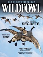 Wildfowl